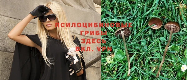 2c-b Бронницы