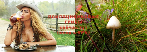 метадон Бородино