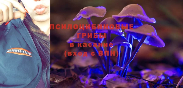 амф Бугульма
